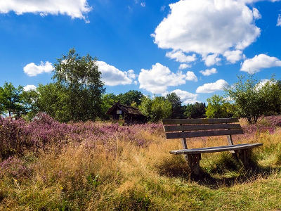 Lüneburger Heide