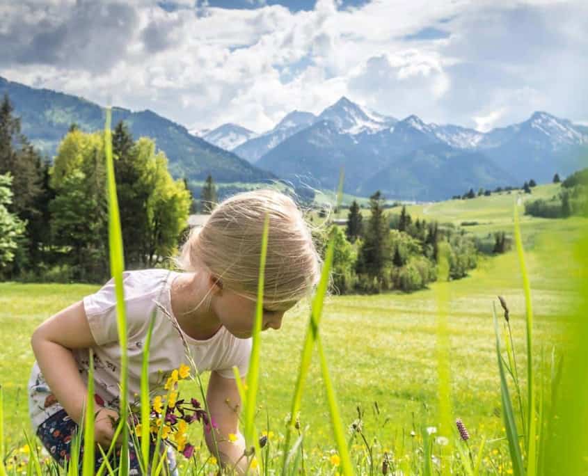 Blumenwiese im Allgäu