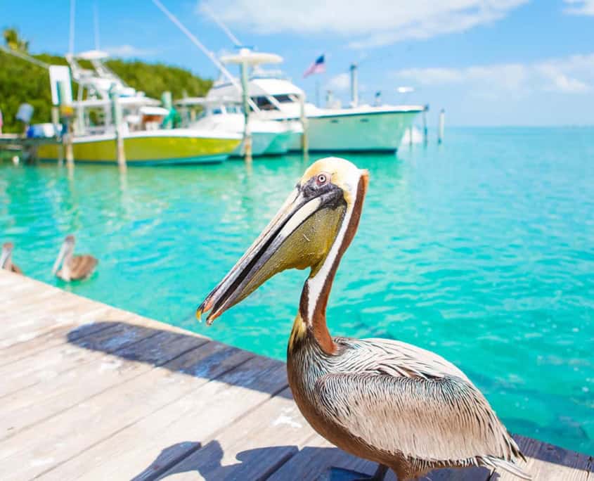 Florida Keys