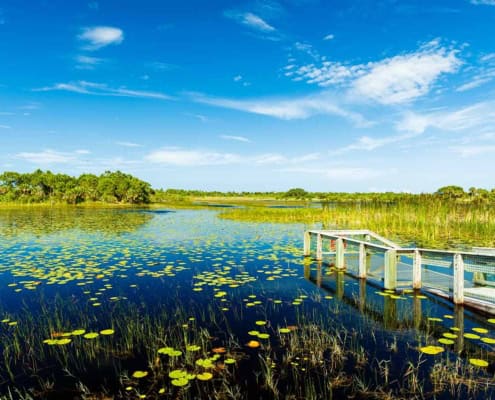 Everglades National Park Landschaft